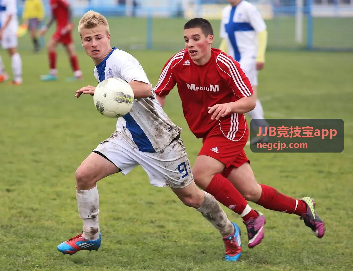安全合规